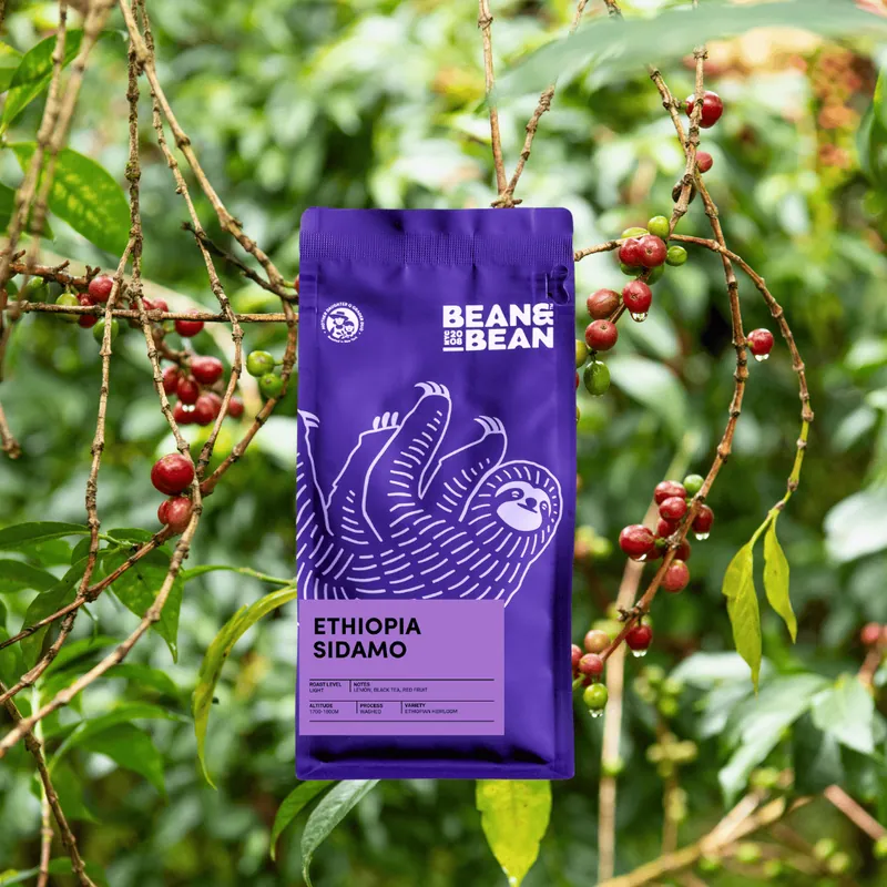 Ethiopia Sidamo