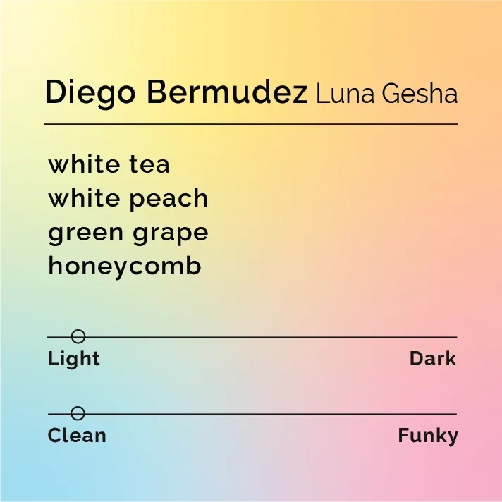 Diego Bermudez - Luna Gesha