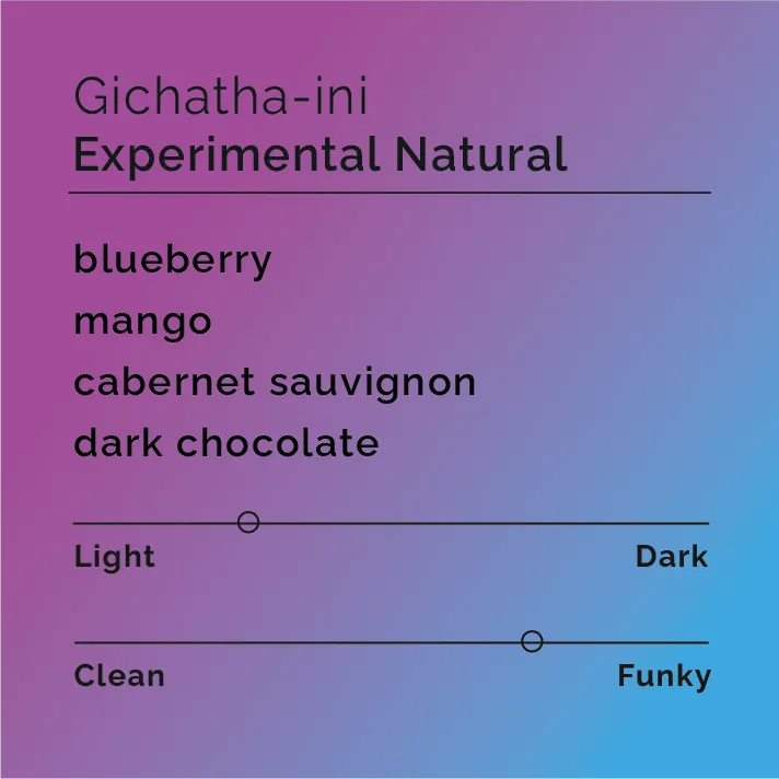 Gichatha-ini - Experimental Natural