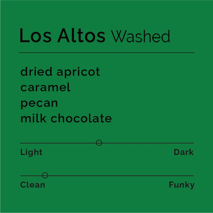 Los Altos - Washed