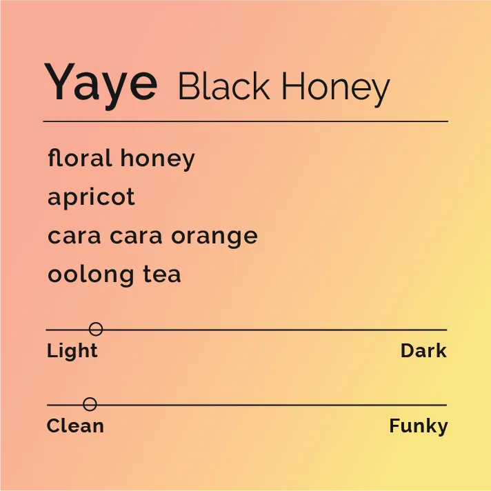 Yaye - Black Honey